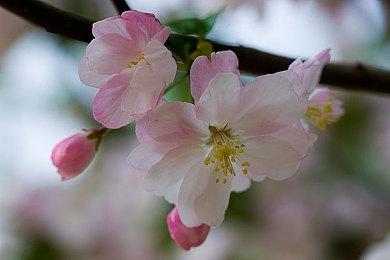 《堡垒之夜》确定联动《龙珠》 预计8月16日上线